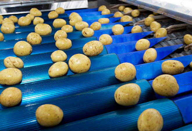 Sausage production line